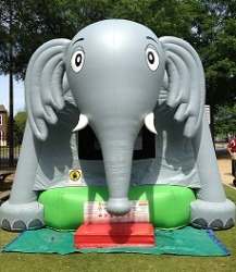 Elephant Bounce