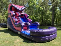 Purple Waterfall Water Slide