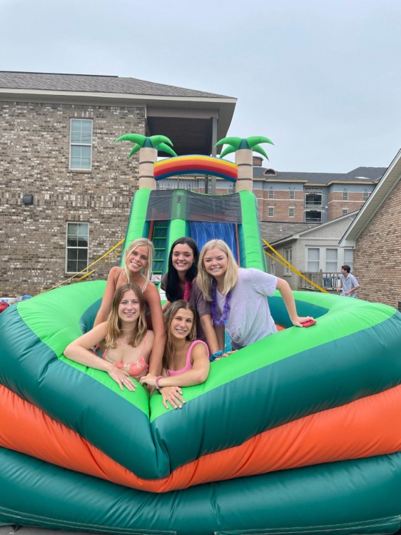 Water Slide Rentals Water Slide Rentals